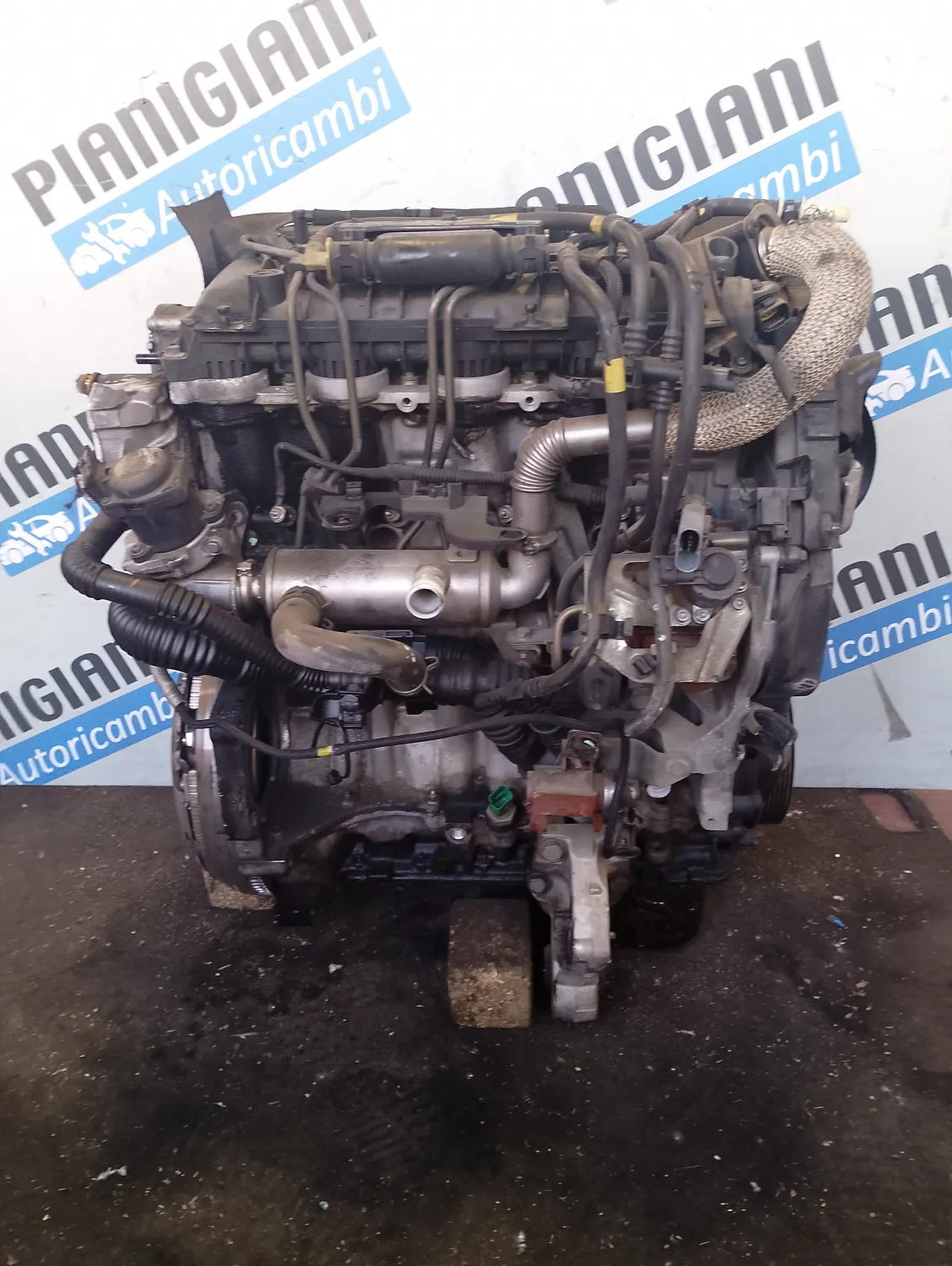 Motore completo Peugeot 206 (1998 – 2009) 1.6 80 KW diesel 9HZ