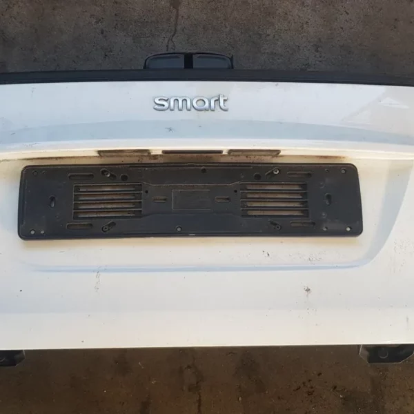 Portellone Inferiore Smart Fortwo 451 2007