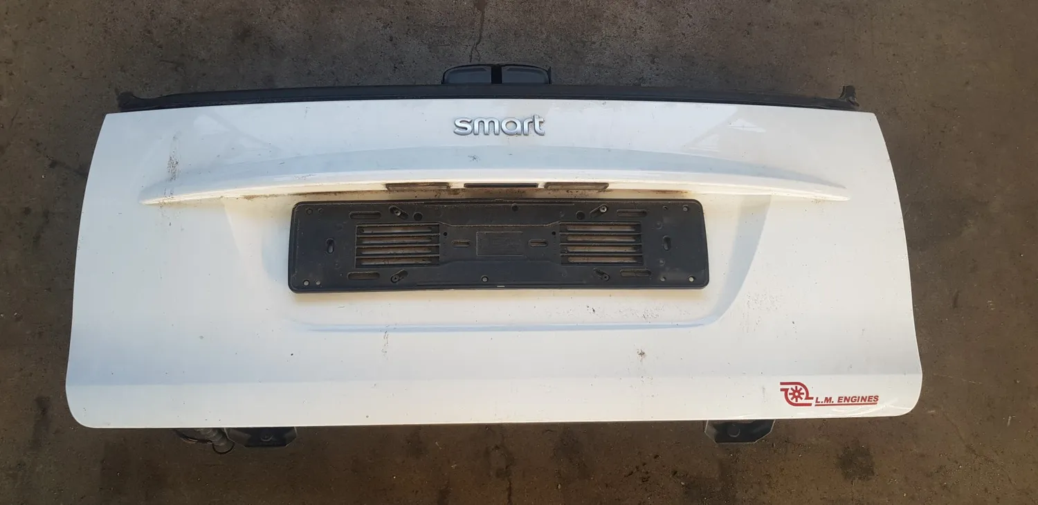 Portellone Inferiore Smart Fortwo 451 2007