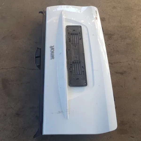Portellone Inferiore Smart Fortwo 451 2007