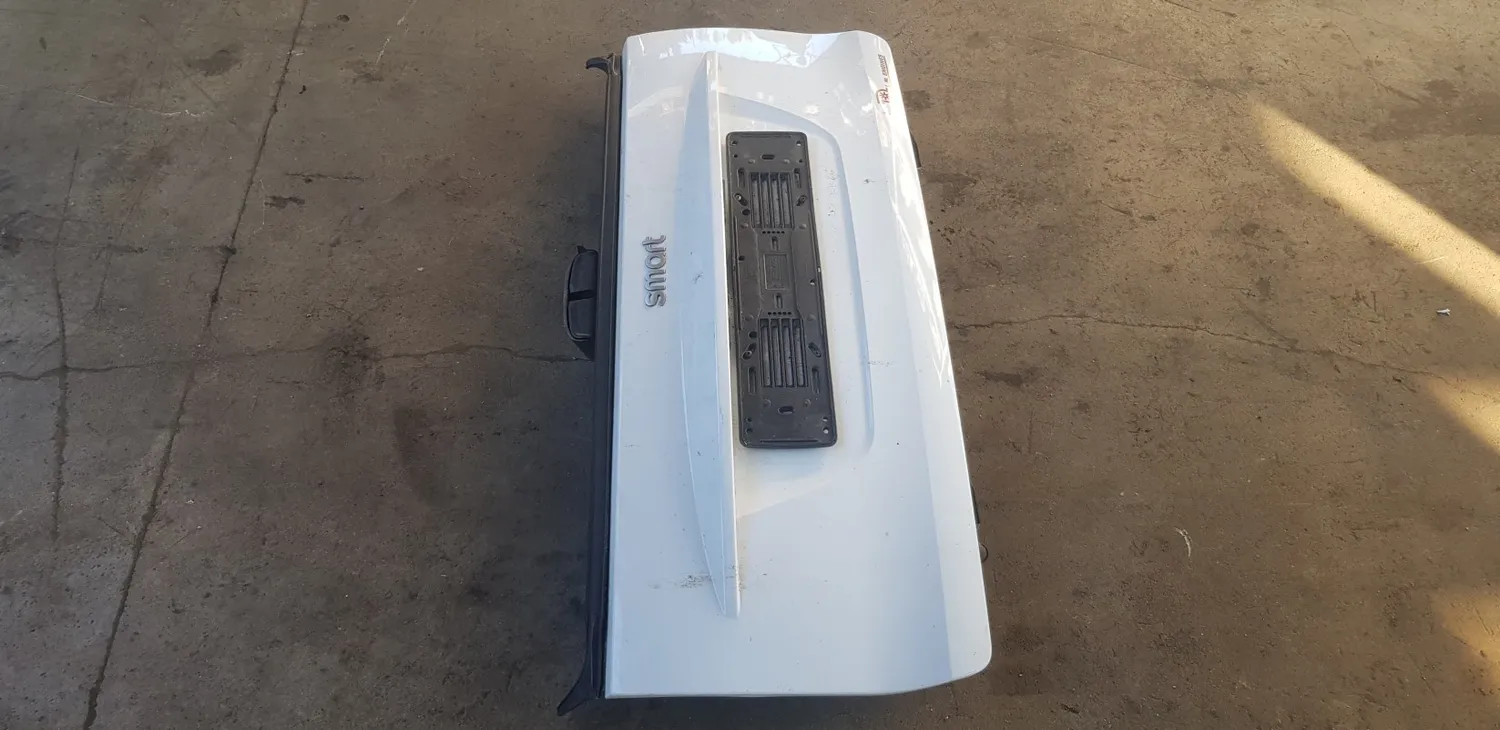 Portellone Inferiore Smart Fortwo 451 2007