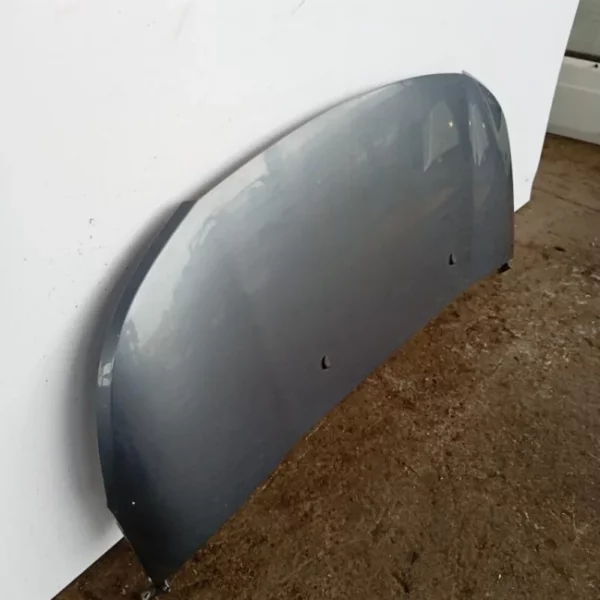 Cofano Citroen C3 Picasso 2008 – 2013