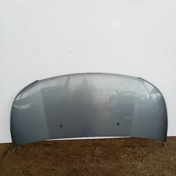 Cofano Citroen C3 Picasso 2008 – 2013