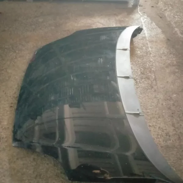 Cofano Fiat Punto Evo 2010