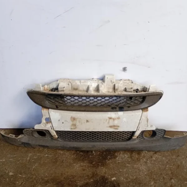 Paraurti / Mascherina Anteriore Centrale Smart Fortwo 451 Coupé 2007 – 2012