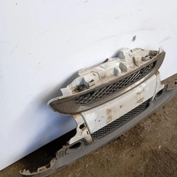 Paraurti / Mascherina Anteriore Centrale Smart Fortwo 451 Coupé 2007 – 2012