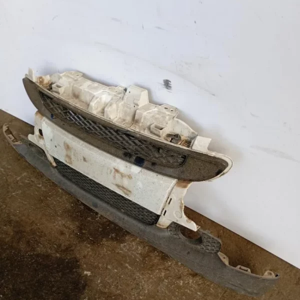 Paraurti / Mascherina Anteriore Centrale Smart Fortwo 451 Coupé 2007 – 2012