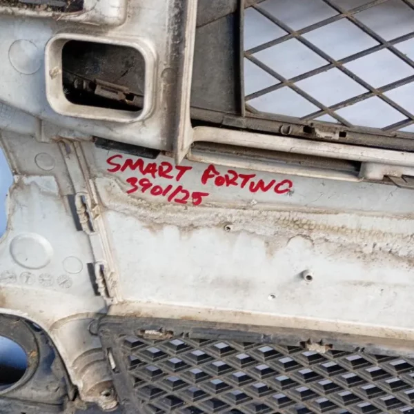 Paraurti / Mascherina Anteriore Centrale Smart Fortwo 451 Coupé 2007 – 2012