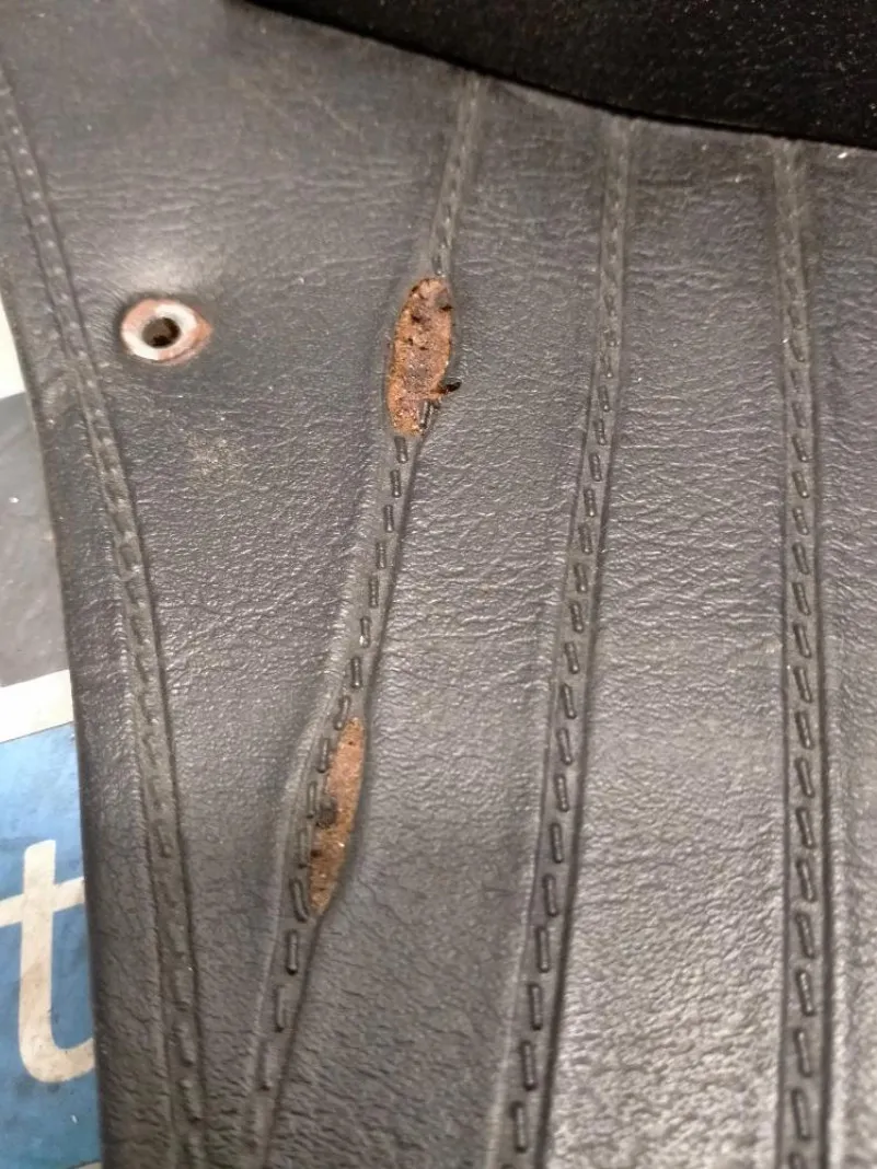 Pannello Porta Posteriore Sinistro Alfa Romeo Nuova Giulia 1975