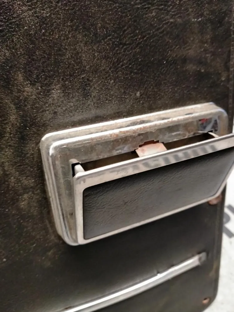 Pannello Porta Posteriore Sinistro Alfa Romeo Nuova Giulia 1975