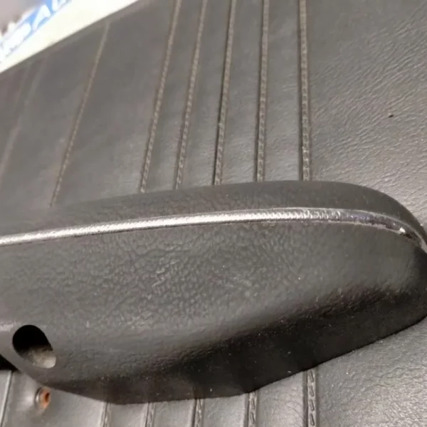 Pannello Porta Posteriore Destro Alfa Romeo Nuova Giulia 1975