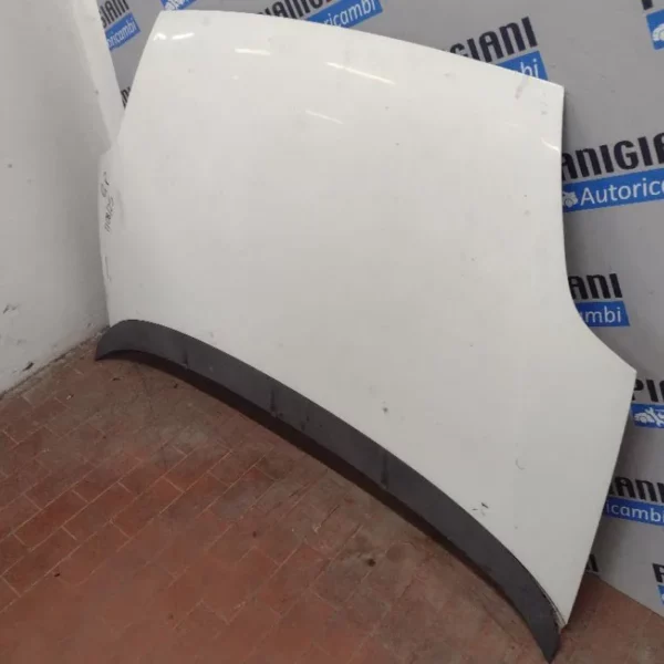 Cofano Fiat Punto 2009 – 2012