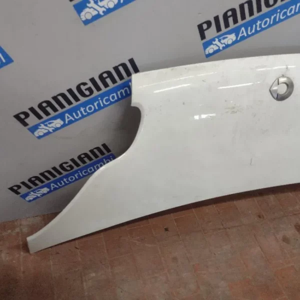 Cofano Smart Fortwo 2007 – 2012