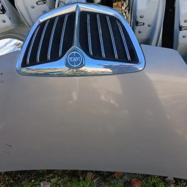 Cofano Lancia Musa 2009