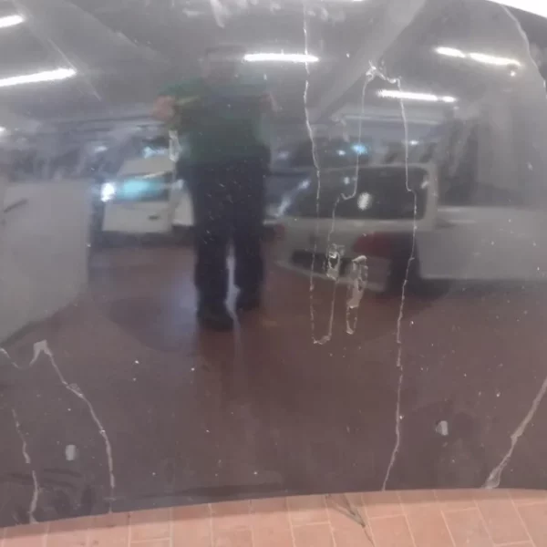 Cofano Suzuki SX4 2009