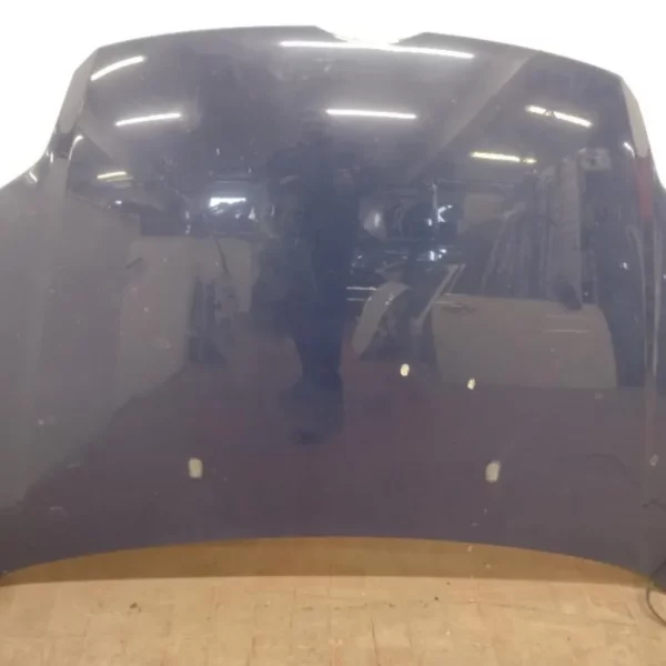 Cofano Ford Focus 2014