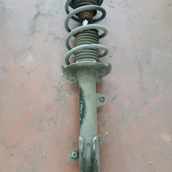 Ammortizzatore Sinistro Ford Ecosport Z2JB