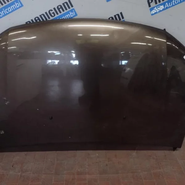 Cofano Dacia Sandero 2017 – 2020