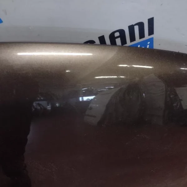 Cofano Dacia Sandero 2017 – 2020