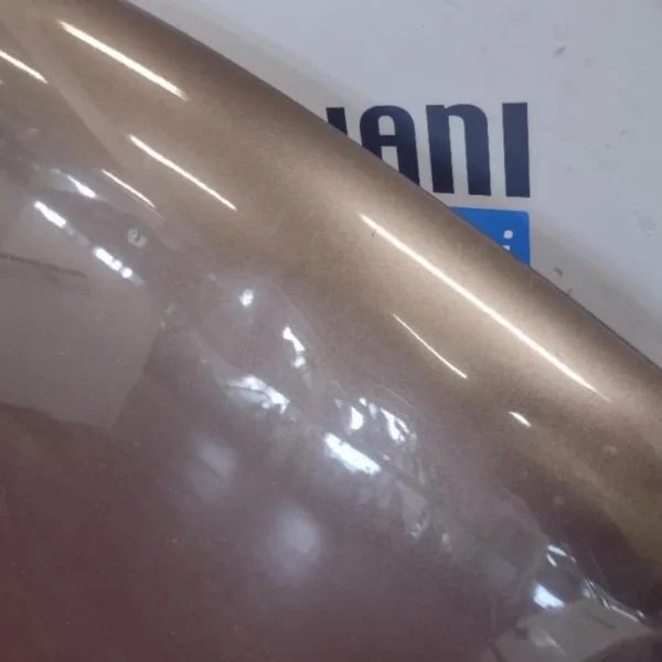 Cofano Dacia Sandero 2017 – 2020