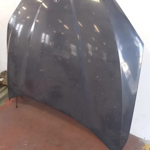 Cofano anteriore Bmw X1 (2009 – 2015) 2.0 105 KW diesel 41002993151 N47D20C