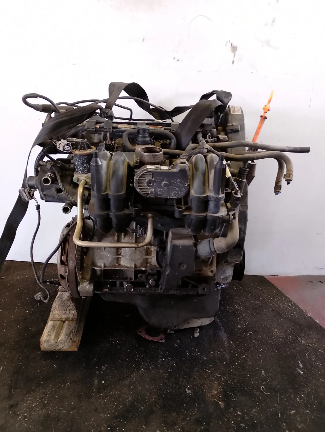 Motore completo Volkswagen Lupo (1998 – 2005) 1.0 37 KW benzina AUC