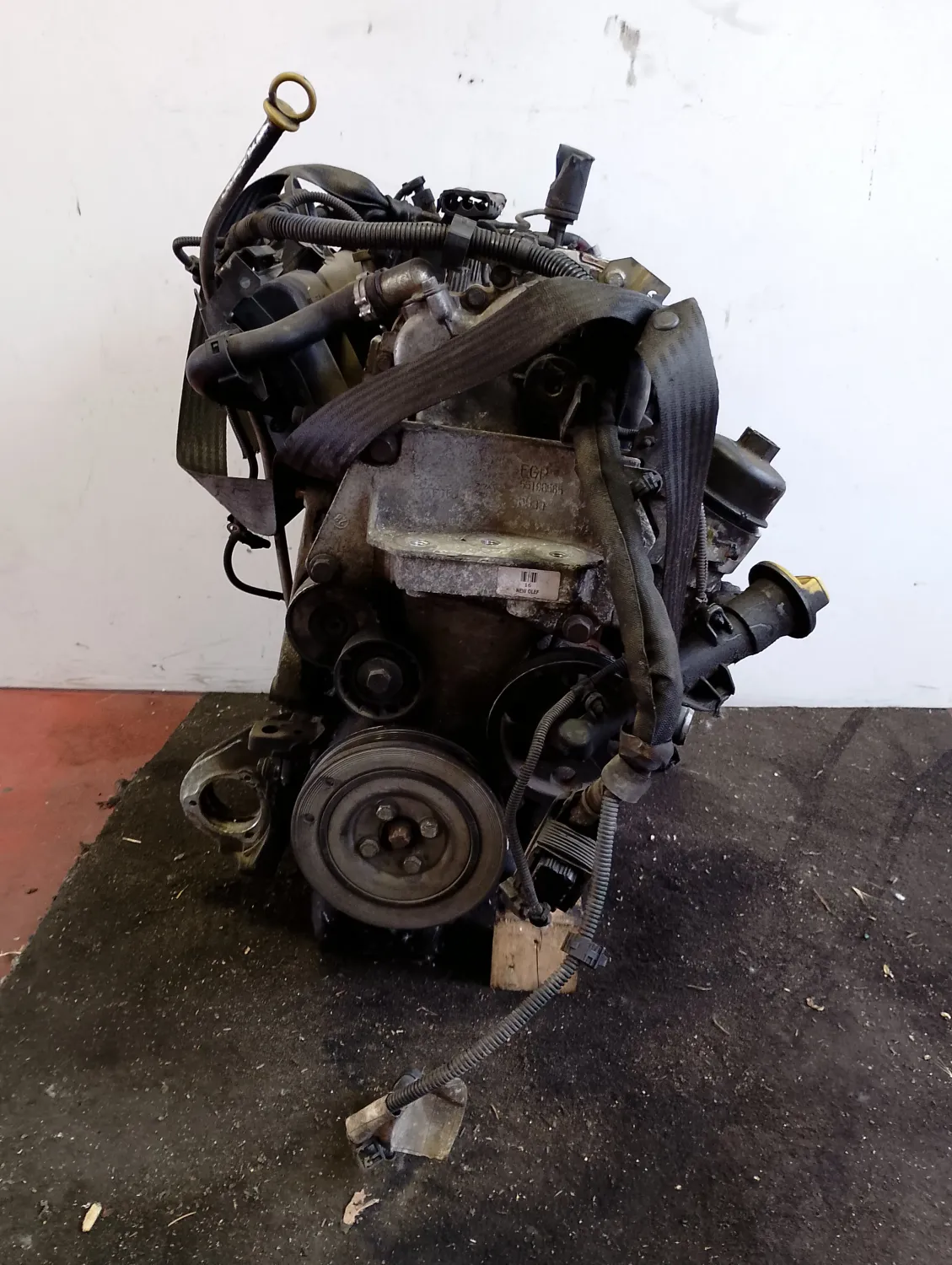 Motore completo Fiat Grande Punto (2005 – 2008) 1.3 55 KW diesel 199A2000