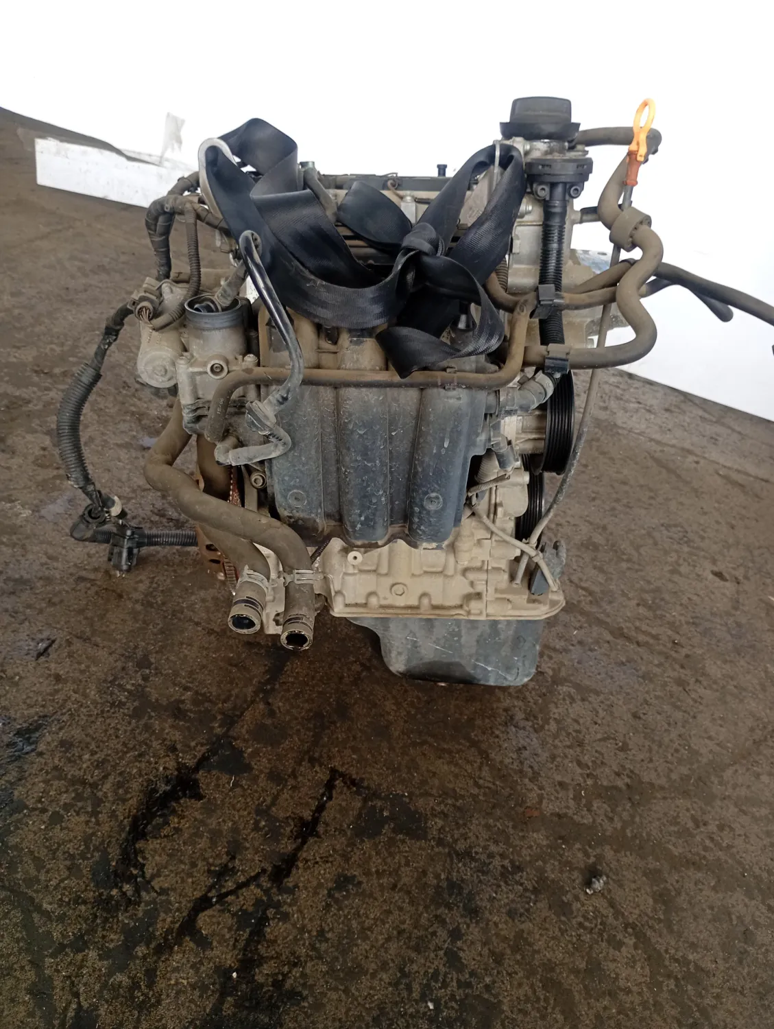 Motore completo Volkswagen Polo (2005 – oggi) 1.2 47 KW benzina BME