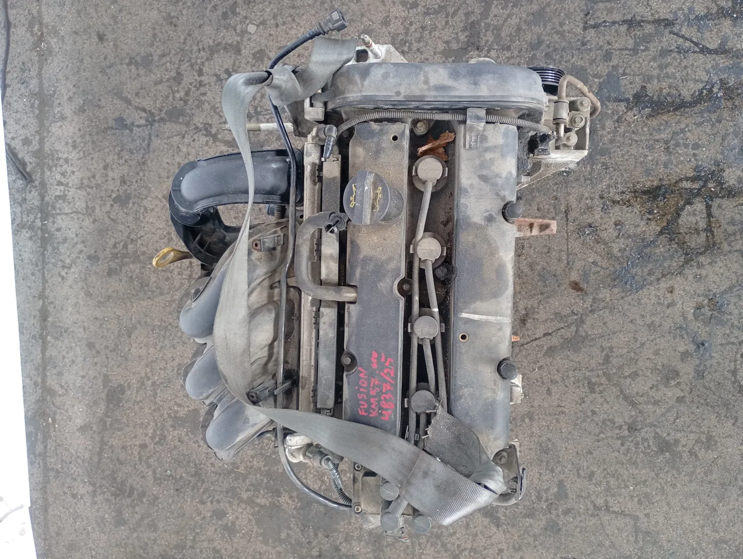 Motore completo Ford Fusion (2002 – oggi) 1.6 74 KW benzina FYJA