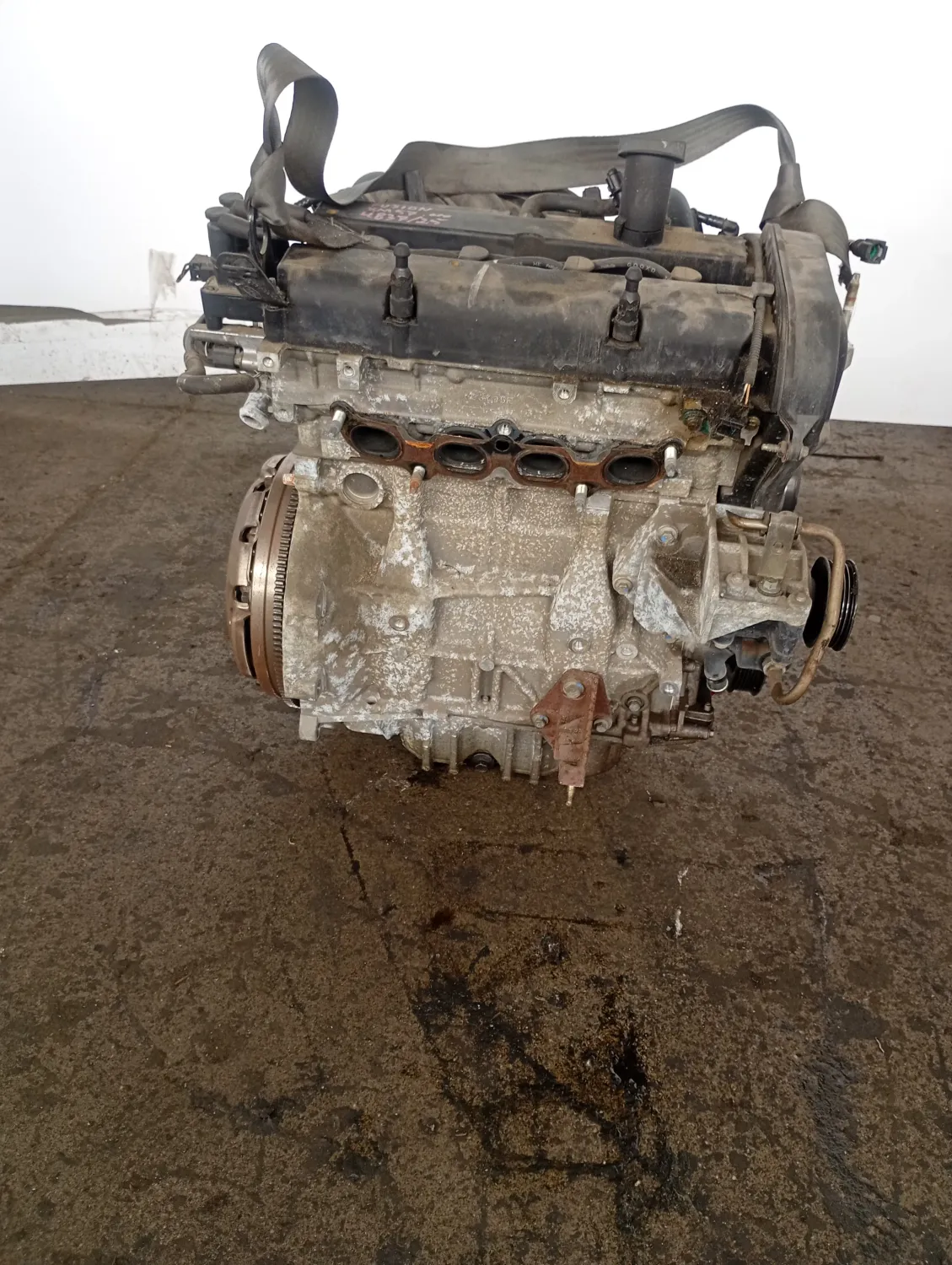 Motore completo Ford Fusion (2002 – oggi) 1.6 74 KW benzina FYJA