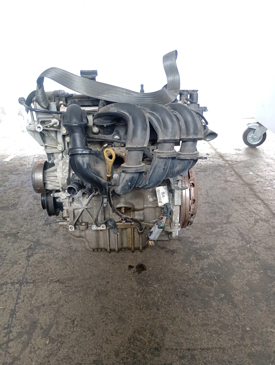 Motore completo Ford Fusion (2002 – oggi) 1.6 74 KW benzina FYJA