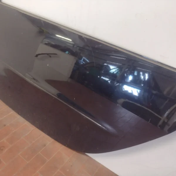 Pannello porta anteriore sinistra Smart Fortwo (2004 – 2007) 0.8 30 KW diesel 61