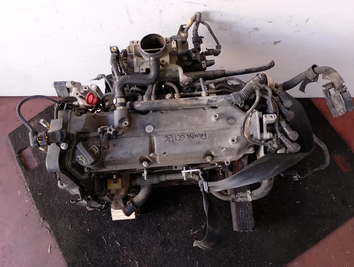 Motore completo Fiat Panda (2003 – 2010) 1.2 44 KW benzina 188A4000