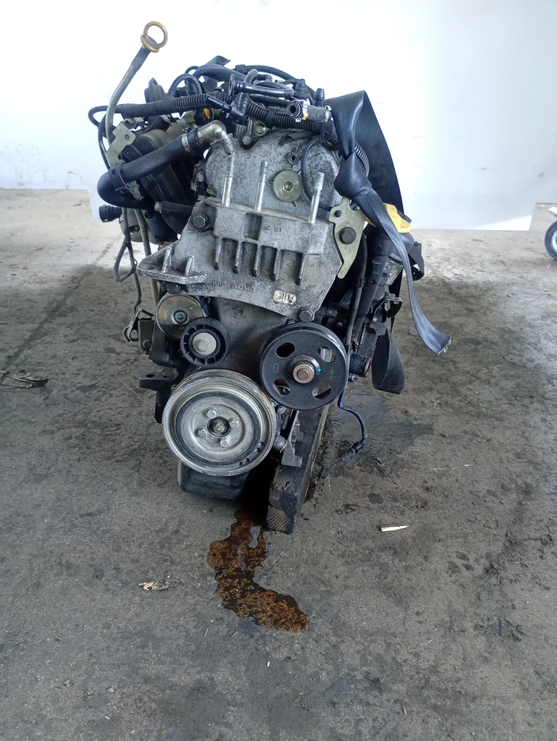 Motore completo Fiat Panda (2003 – 2010) 1.3 51 KW diesel 188A8000