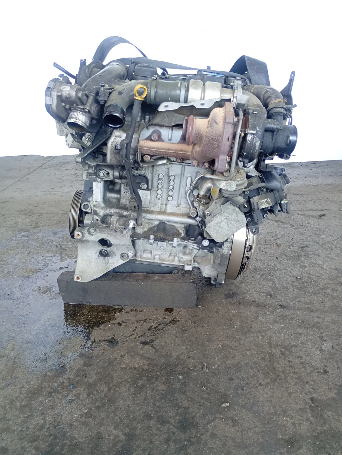 Motore completo Ford C-max (2010 – 2015) 1.6 85 KW diesel T1DA
