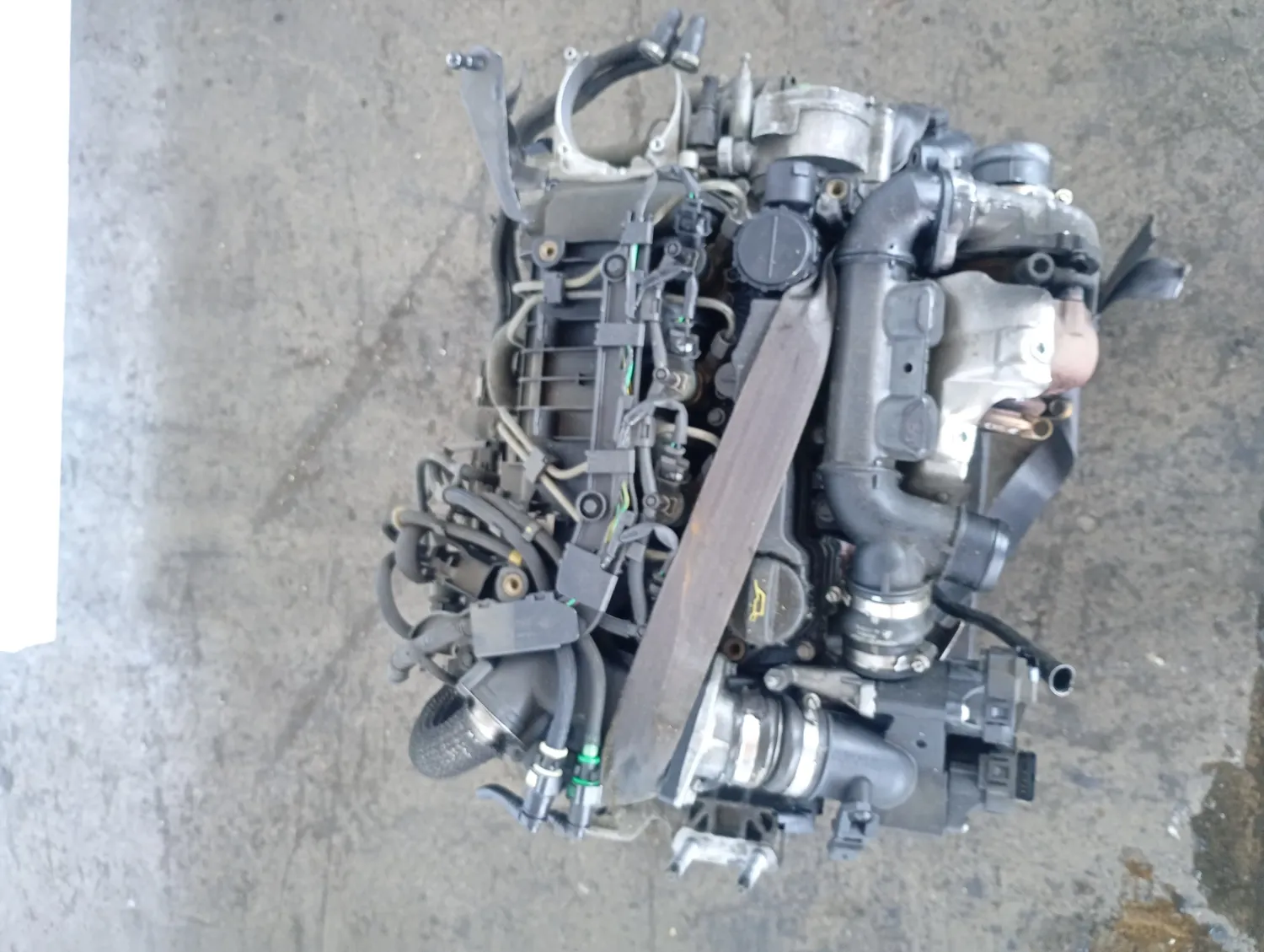 Motore completo Ford Focus (2008 – 2011) 1.6 80 KW diesel G8DB