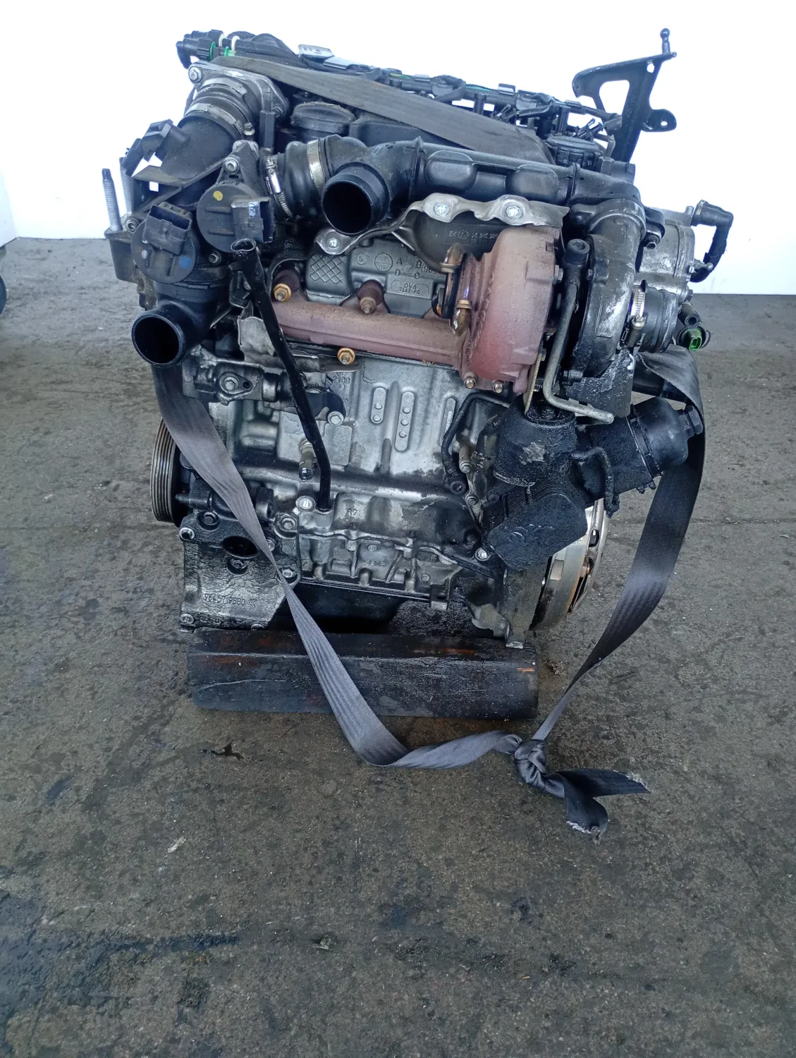 Motore completo Ford Focus (2008 – 2011) 1.6 80 KW diesel G8DB