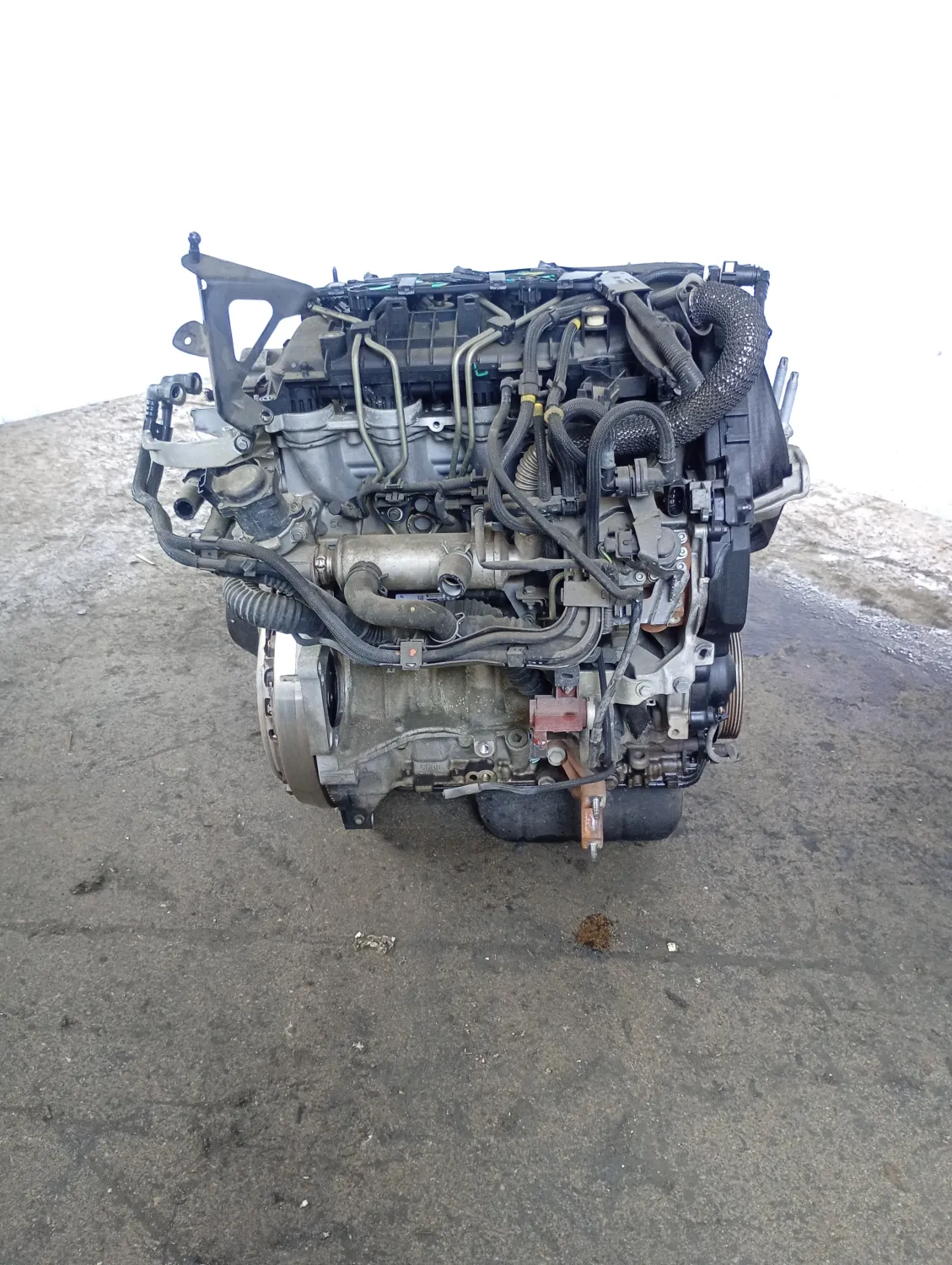 Motore completo Ford Focus (2008 – 2011) 1.6 80 KW diesel G8DB