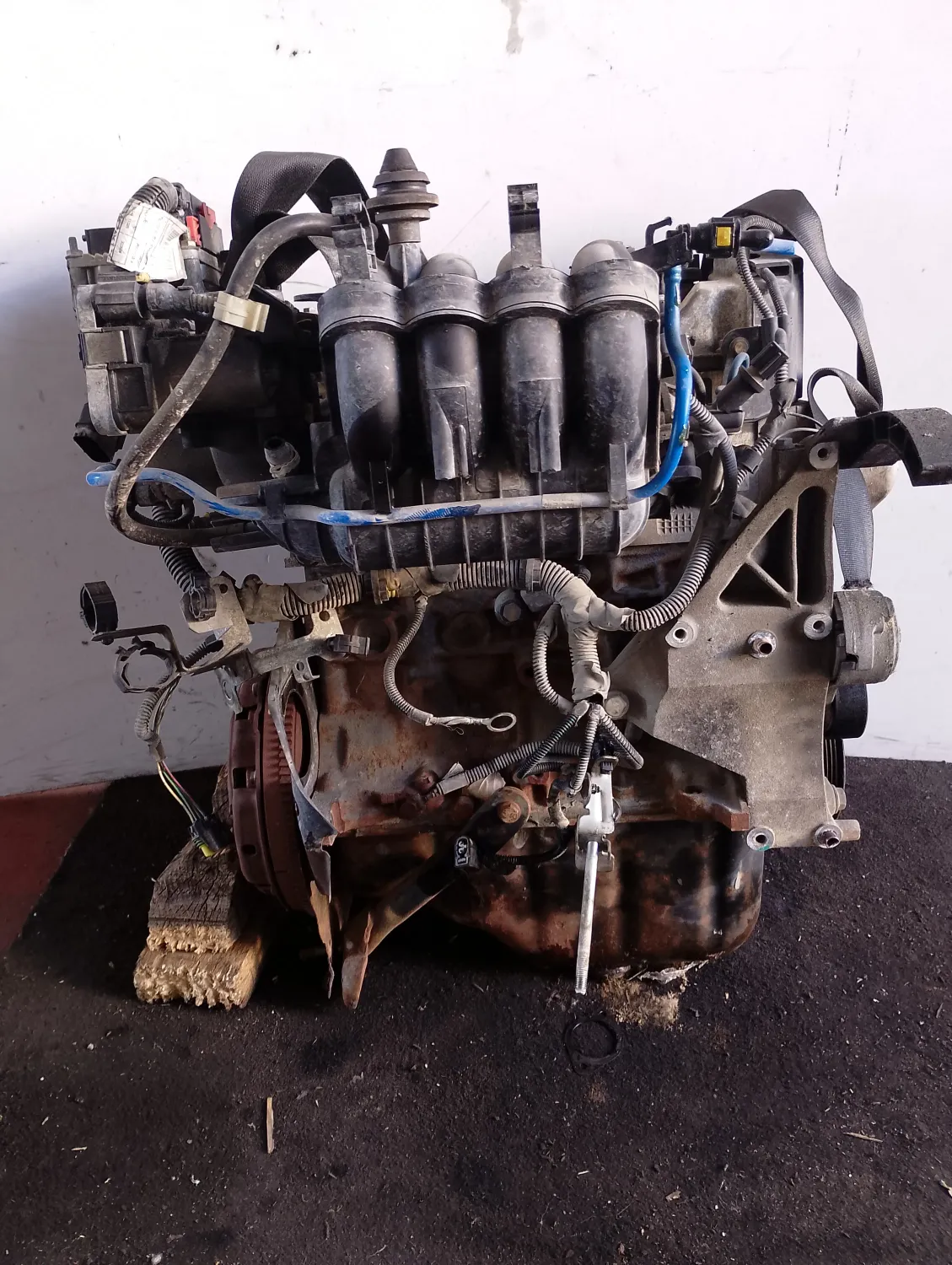 Motore completo Fiat Grande Punto (2005 – 2008) 1.2 48 KW benzina 199A4000