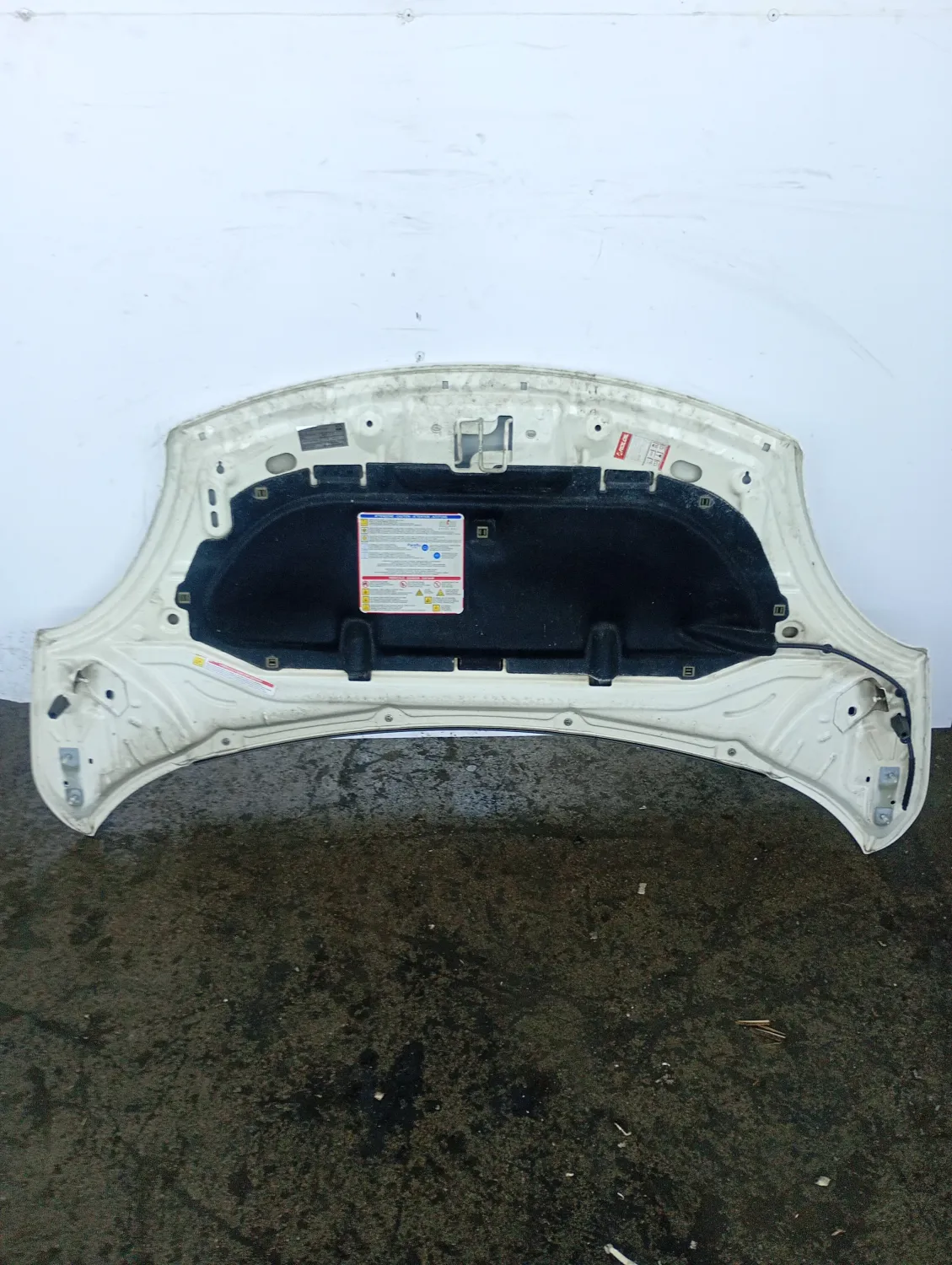 Cofano Anteriore Fiat 500l (2012 – 2018) 1.3 62 KW diesel 199B4000