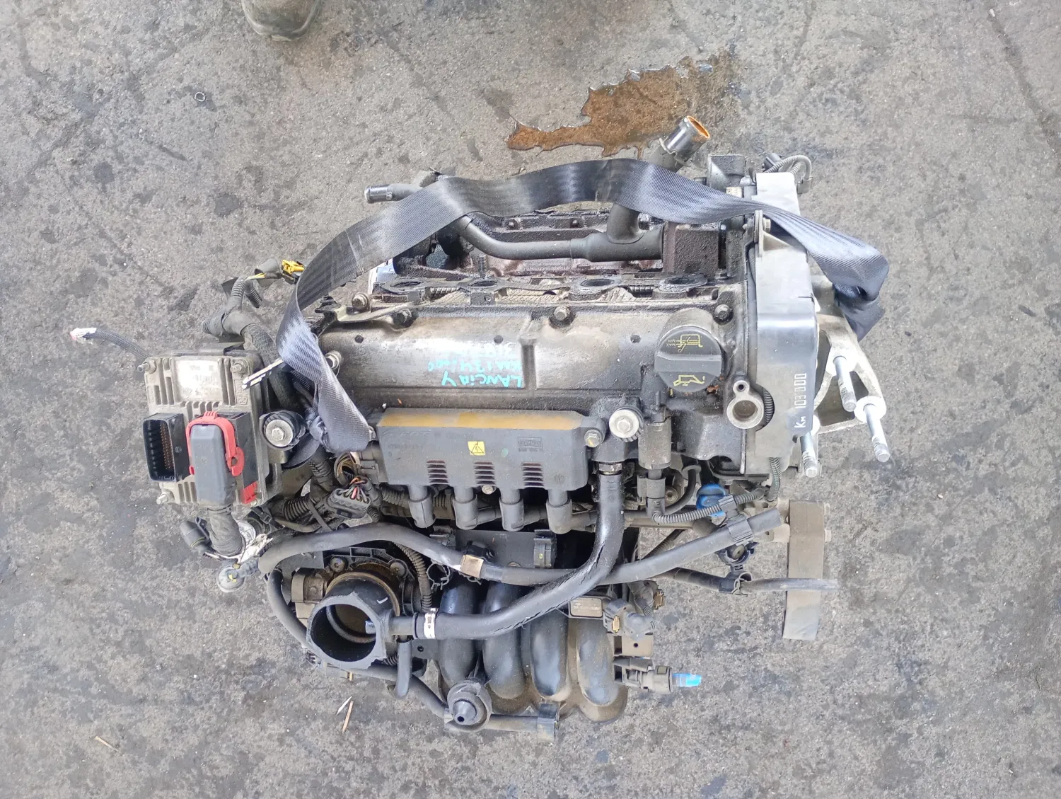 Motore completo Lancia Ypsilon (2008 – 2013) 1.4 57 KW 350A1000