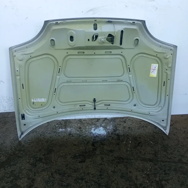 Cofano Anteriore Fiat 600 (2005 – 2011) 1.1 40 KW benzina 187A1000