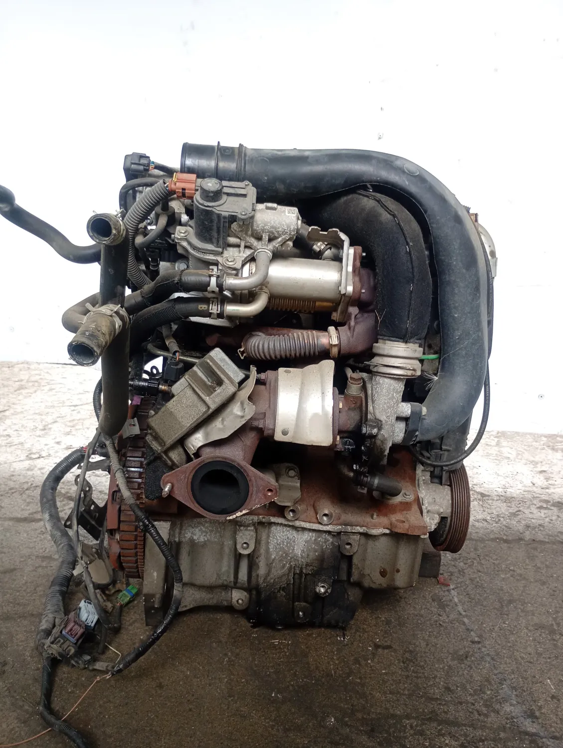 Motore semicompleto Nissan Nv200 (2009 – oggi) 1.5 66 KW diesel 1010200Q7L K9K