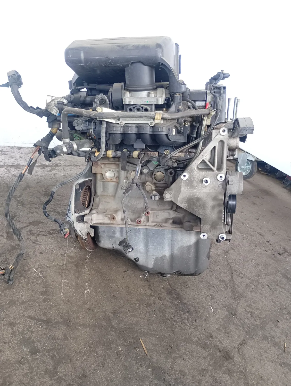 Motore completo Fiat Panda (2003 – 2010) 1.2 44 KW benzina 188A4000