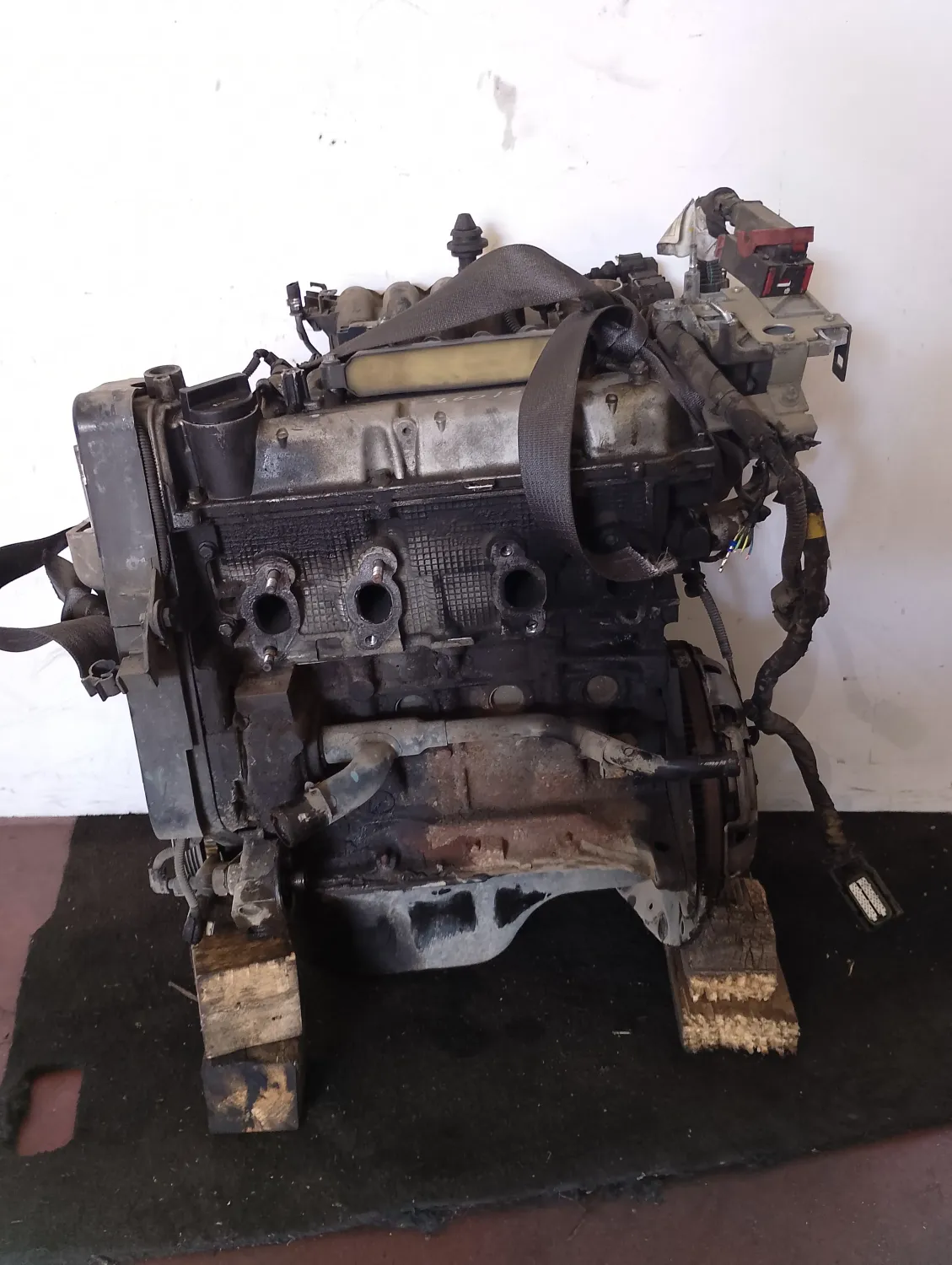 Motore completo Fiat Panda (2011 – 2013) 1.2 51 KW 169A4000