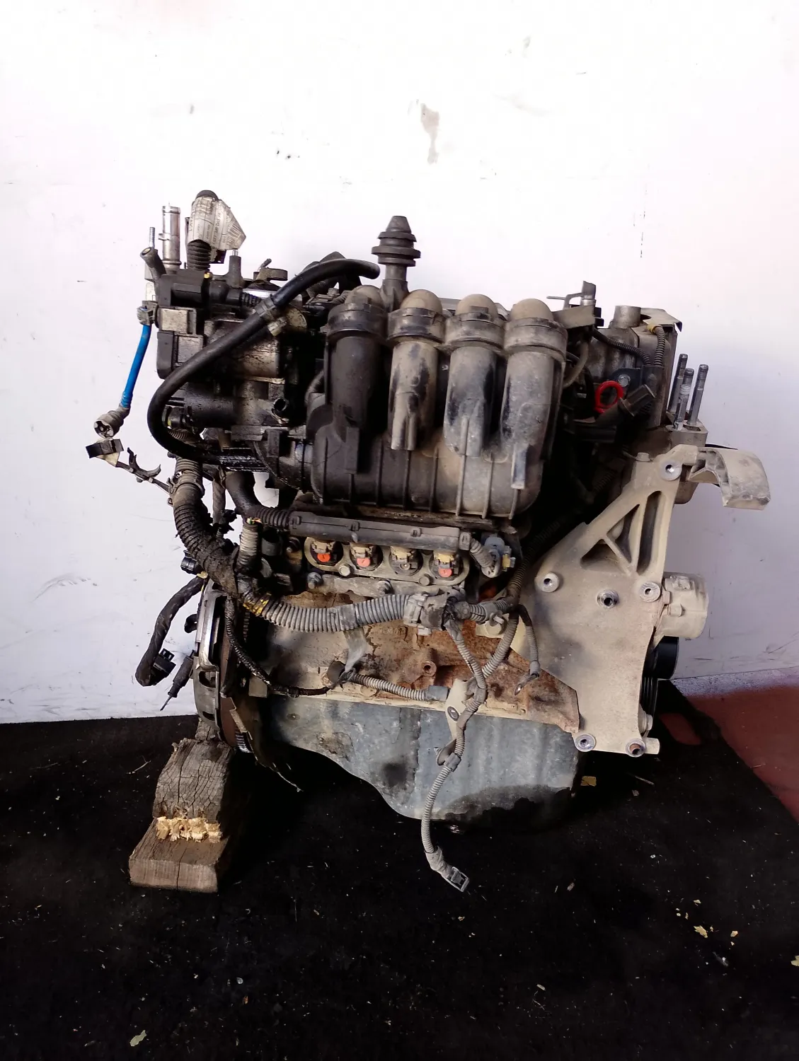 Motore completo Fiat Panda (2011 – 2013) 1.2 51 KW 169A4000
