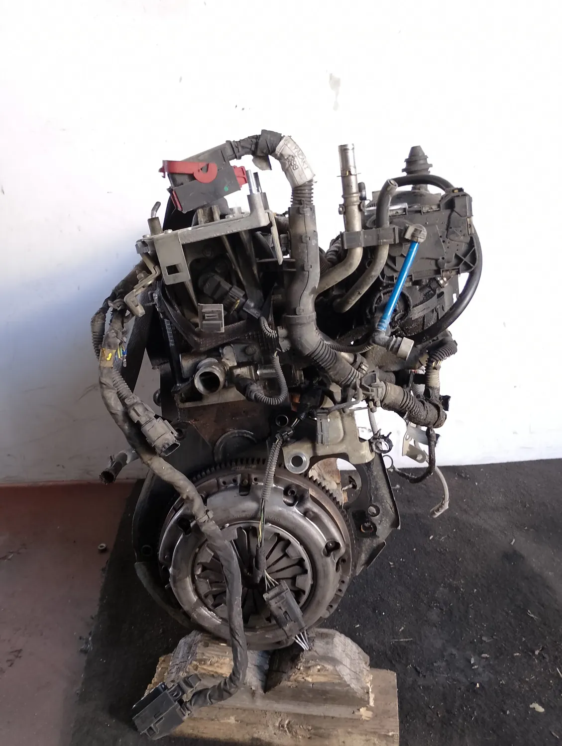 Motore completo Fiat Panda (2011 – 2013) 1.2 51 KW 169A4000