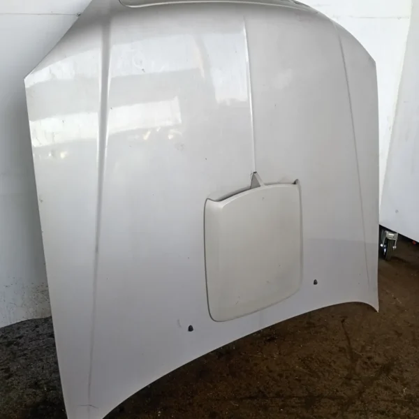 Cofano anteriore Hyundai Terracan (2001 – 2007) 2.9 110 KW diesel 79000H1212 J3