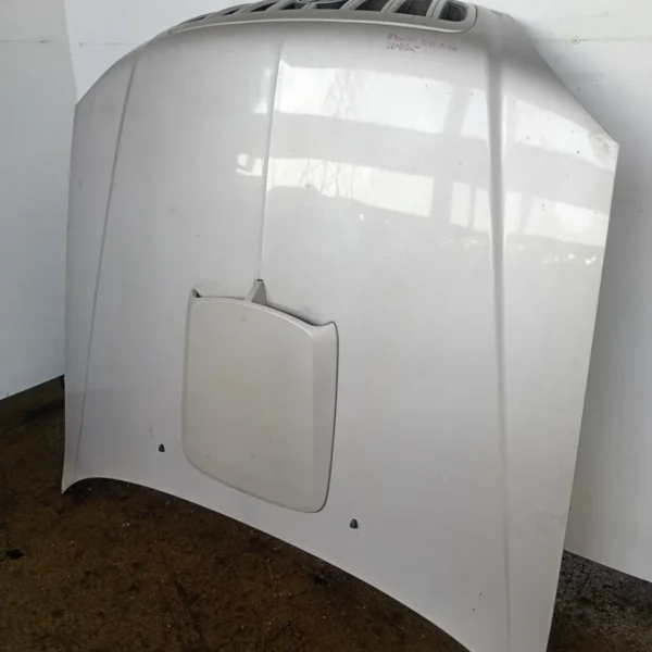Cofano anteriore Hyundai Terracan (2001 – 2007) 2.9 110 KW diesel 79000H1212 J3