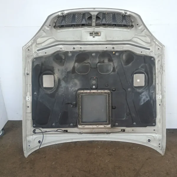 Cofano anteriore Hyundai Terracan (2001 – 2007) 2.9 110 KW diesel 79000H1212 J3